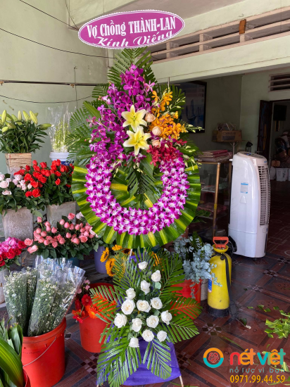 Hình thực tế