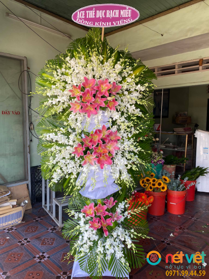 Hình thực tế