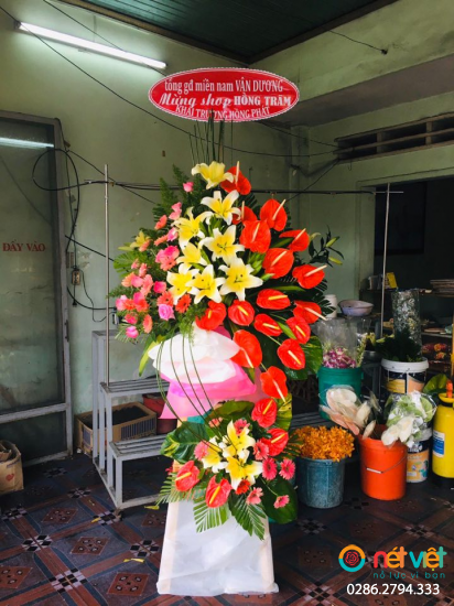 Hình thực tế