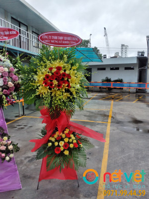 Ngày càng thành công