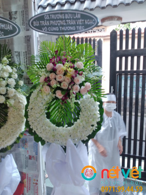 hinh-anh