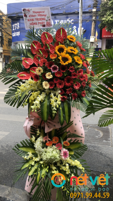 Chúc mừng