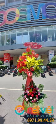 Ngày càng thành công