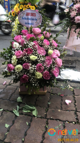 giỏ