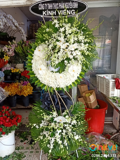 Hình thực tế