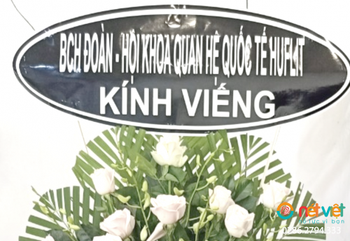 Hình thực tế