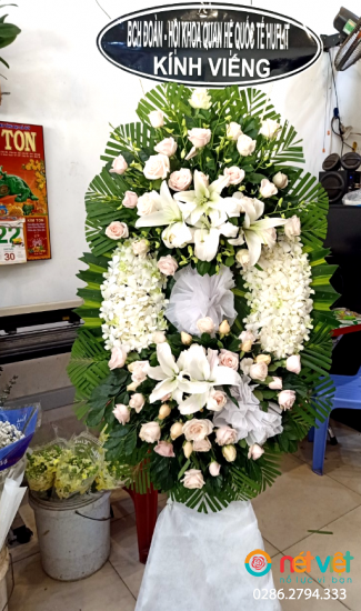 Hình thực tế