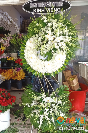 Hình thực tế
