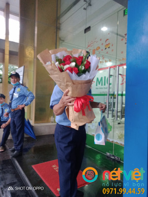 Hoa bó