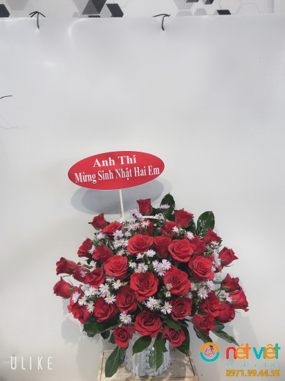 Hình thực tế