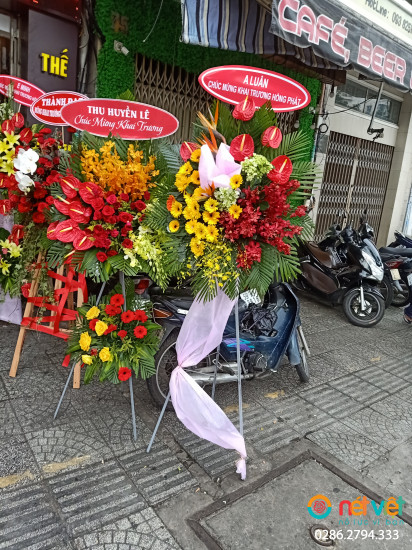 Hình thực tế