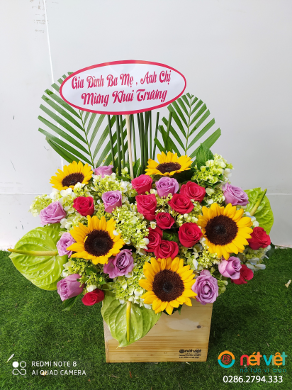Hình thực tế