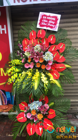 Hình thực tế