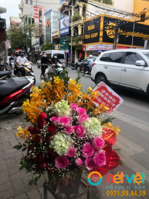 giỏ