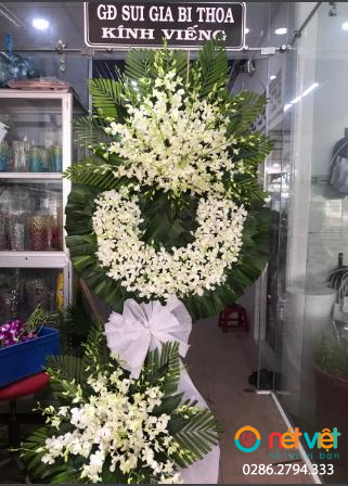 Hình thực tế