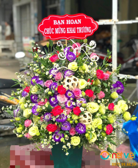 Hình thực tế