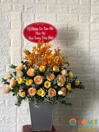 Hình thực tế