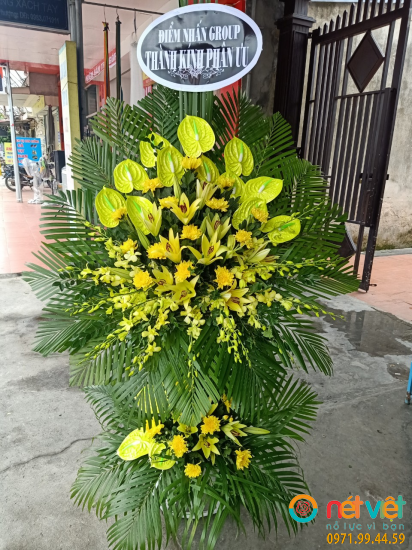 Hình thực tế