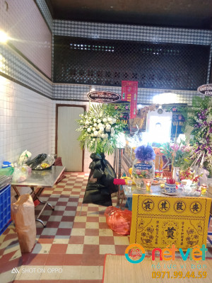 Viếng hồng trắng & lan trắng