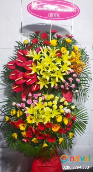 Hình thực tế