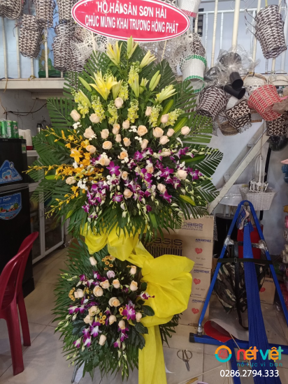 Hình thực tế