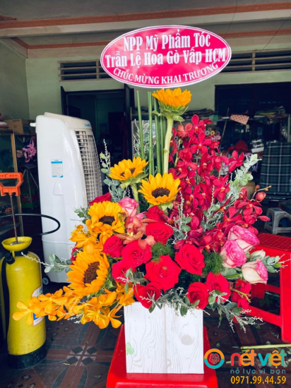 Hình thực tế