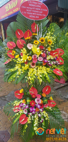 Hình thực tế