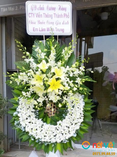 Hình thực tế