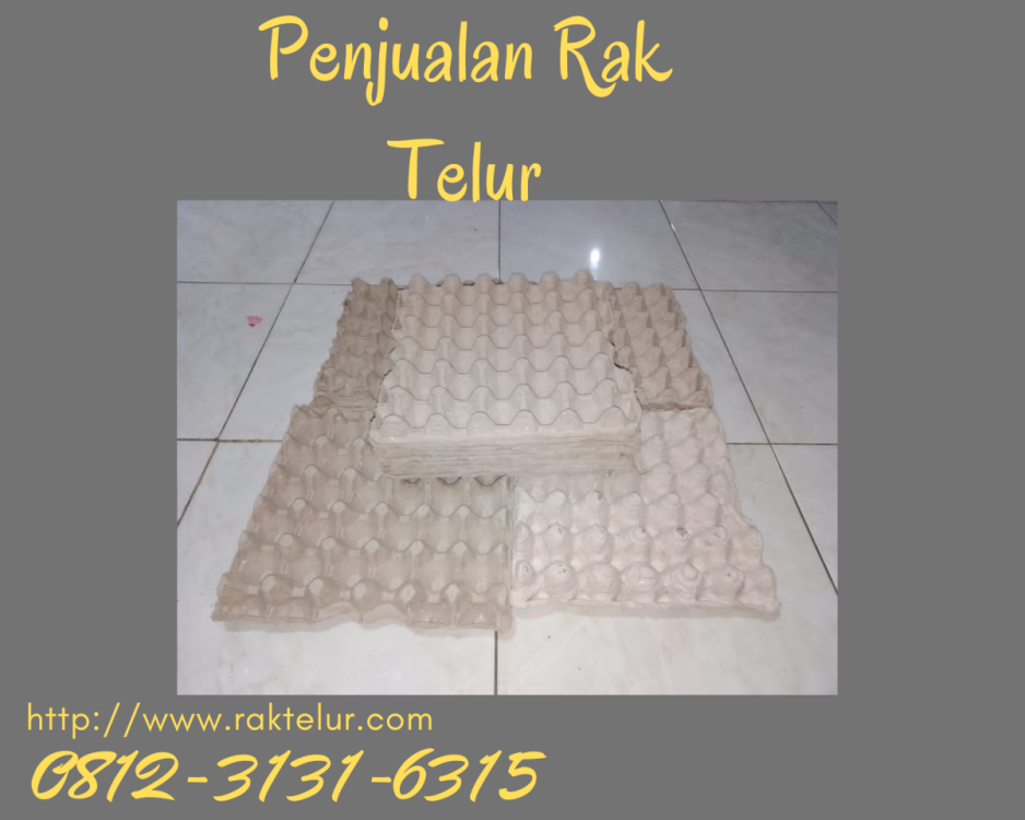 Beli Rak Telur.png
