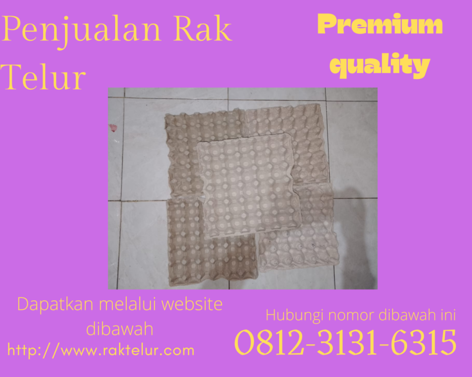 distributor rak telur karton.png