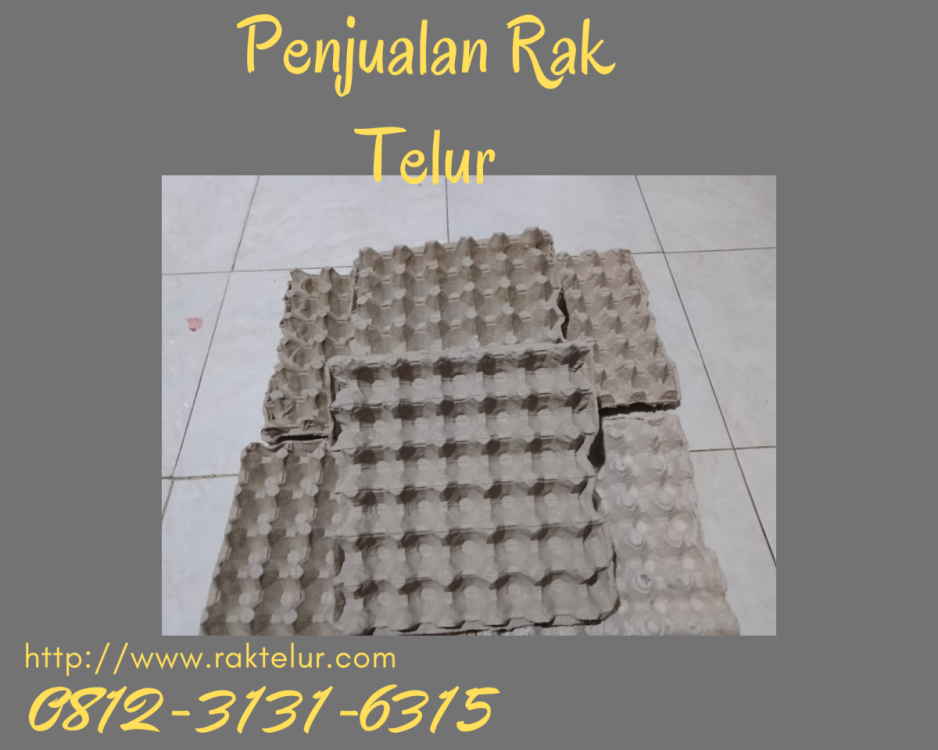 Beli Rak Telur Karton.png