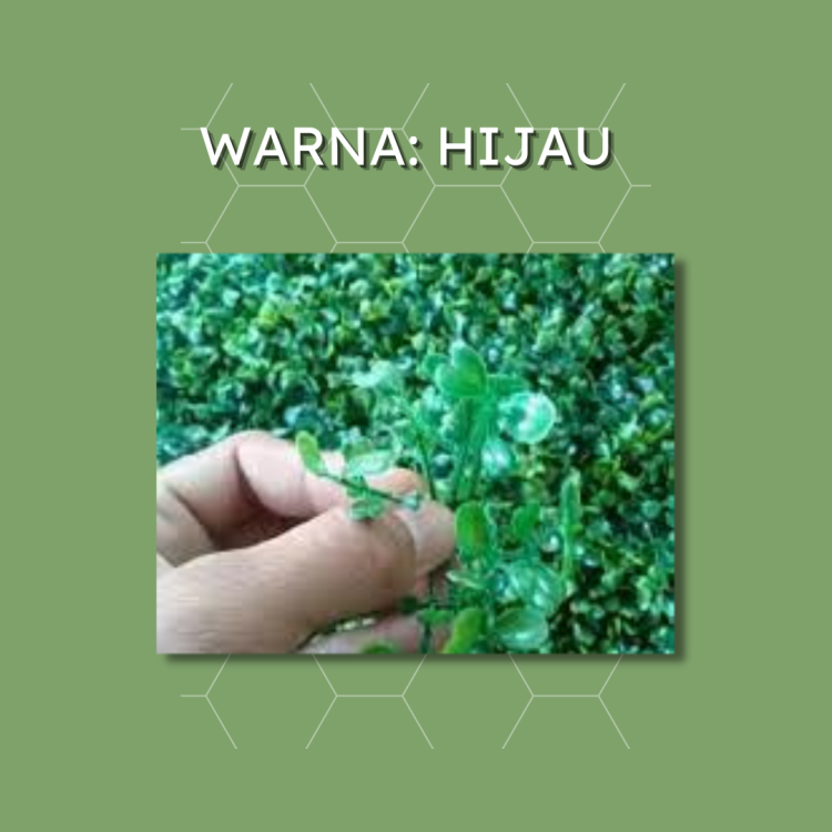 Berikut Rumput Sintetis Di Dinding Untuk Dekorasi 4 (1).png