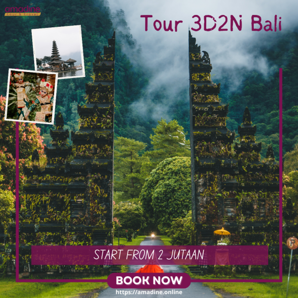 Penyelenggara Sewa Mobil Jeep Bali AMADINE TOUR TERMURAH, 083876546473