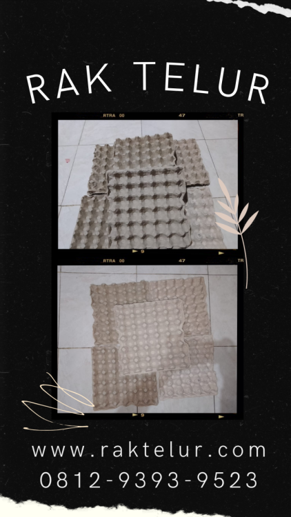 Beli Rak Telur Karton.png