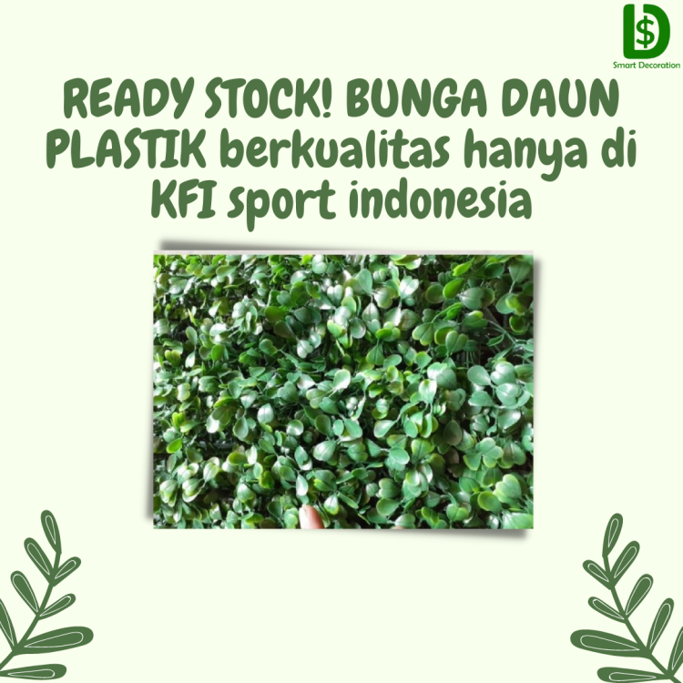 Jual Bunga Daun Dolar Berkualitas 2.png