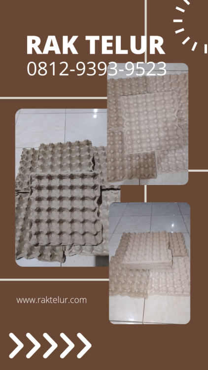 Distributor Rak Telur Puyuh.png