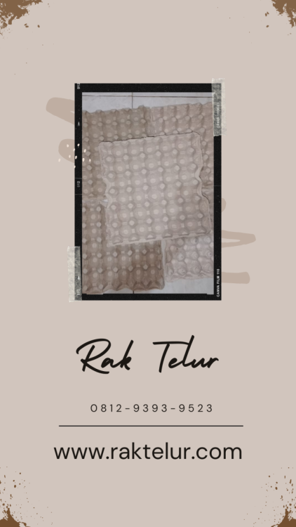 Harga Rak Telur Kardus.png