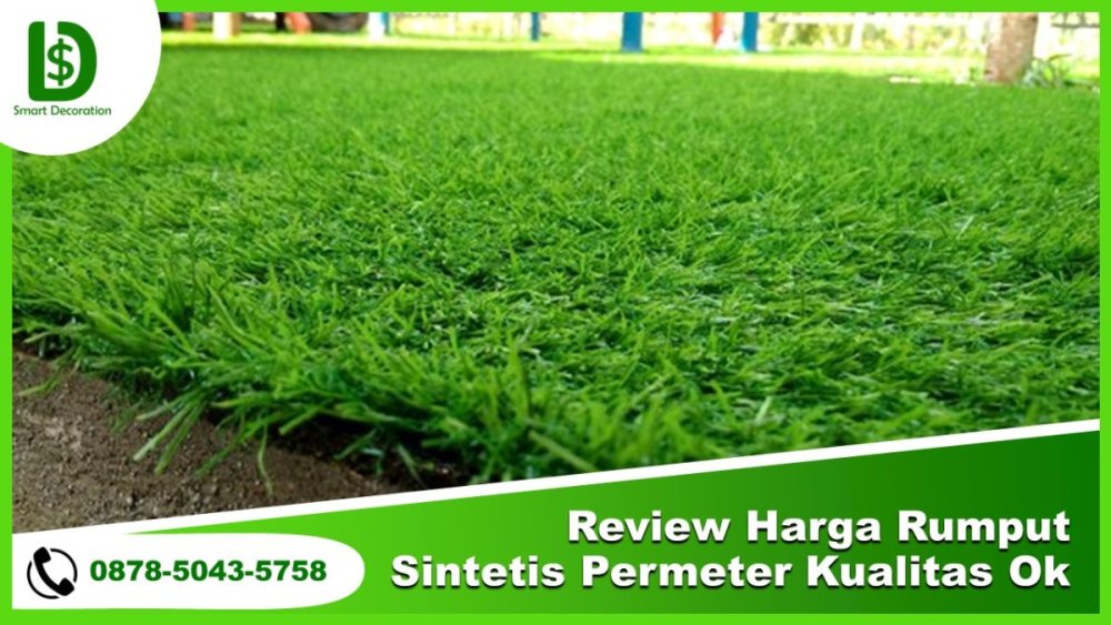 Review Harga Rumput Sintetis Per Meter KUALITAS OK.jpg