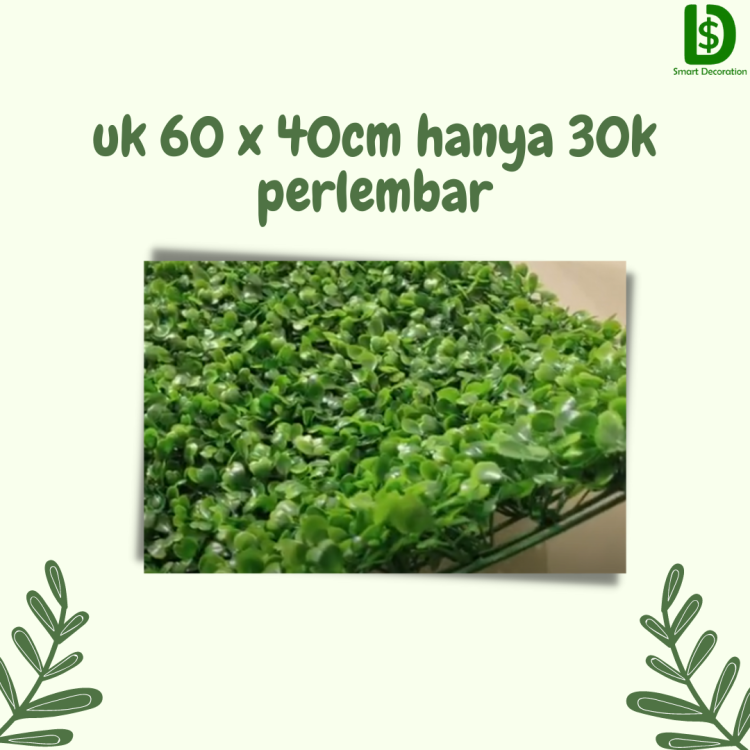 Jual Bunga Daun Dolar Berkualitas 3.png