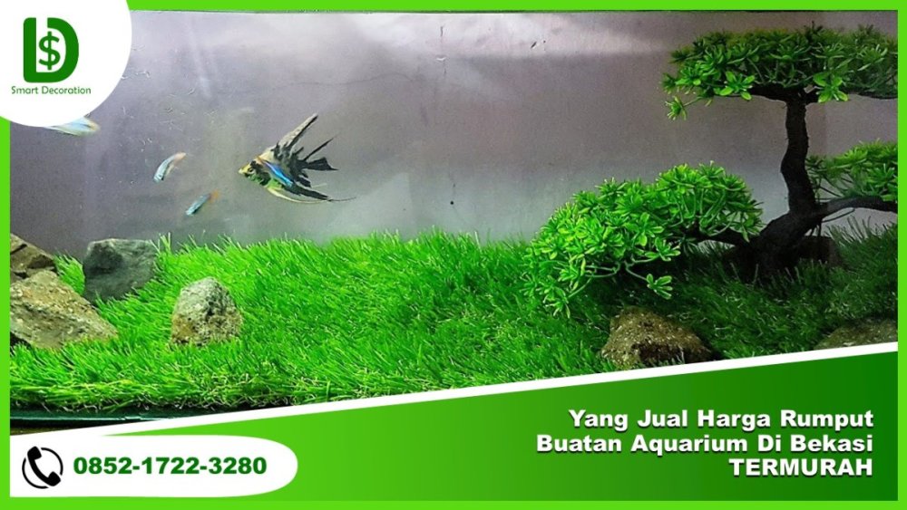 Yang Jual Harga Rumput Buatan Aquarium Di Bekasi TERMURAH.jpg