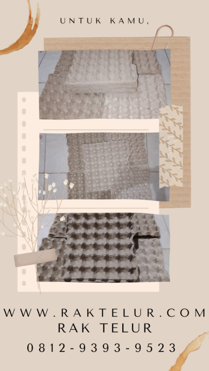 Beli Rak Telur Puyuh.png