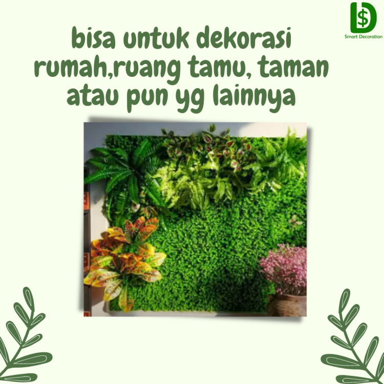 Jual Bunga Daun Dolar Berkualitas 5.png