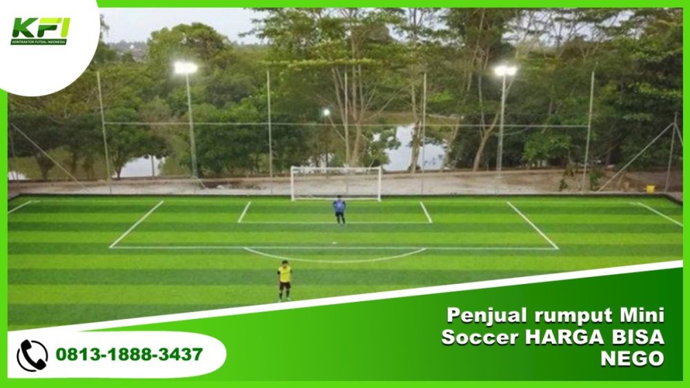 Penjual rumput Mini Soccer HARGA BISA NEGO.jpg