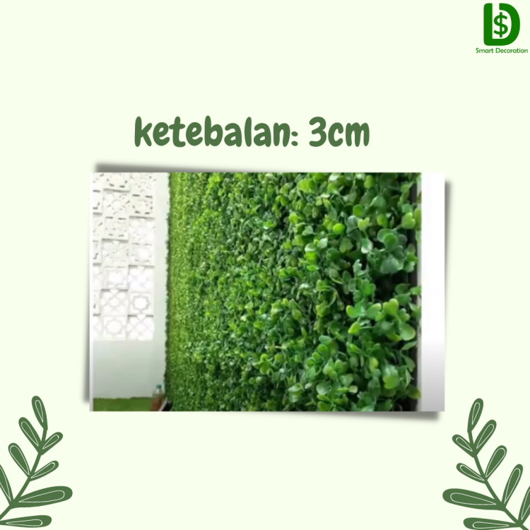 Jual Bunga Daun Dolar Berkualitas 4.png