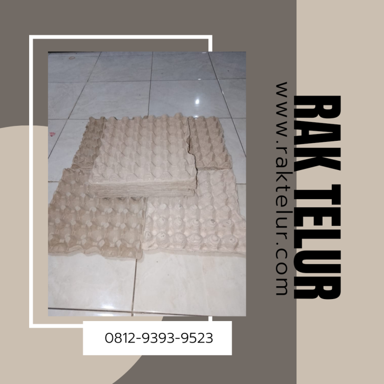 Distributor Rak Telur.png