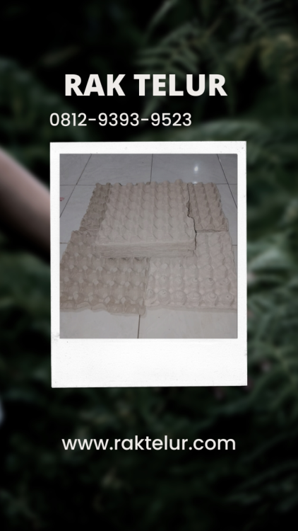 Ditributor Rak Telur.png