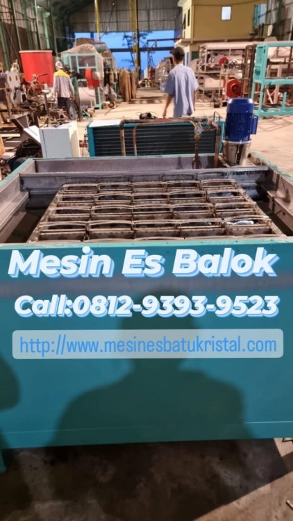 WhatsApp Image 2023-02-17 at 13.18.38.jpeg