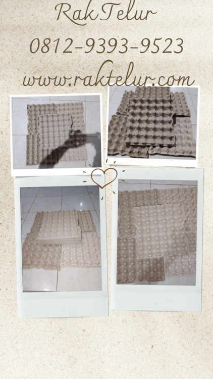 Harga Rak Telur Ayam Karton.png