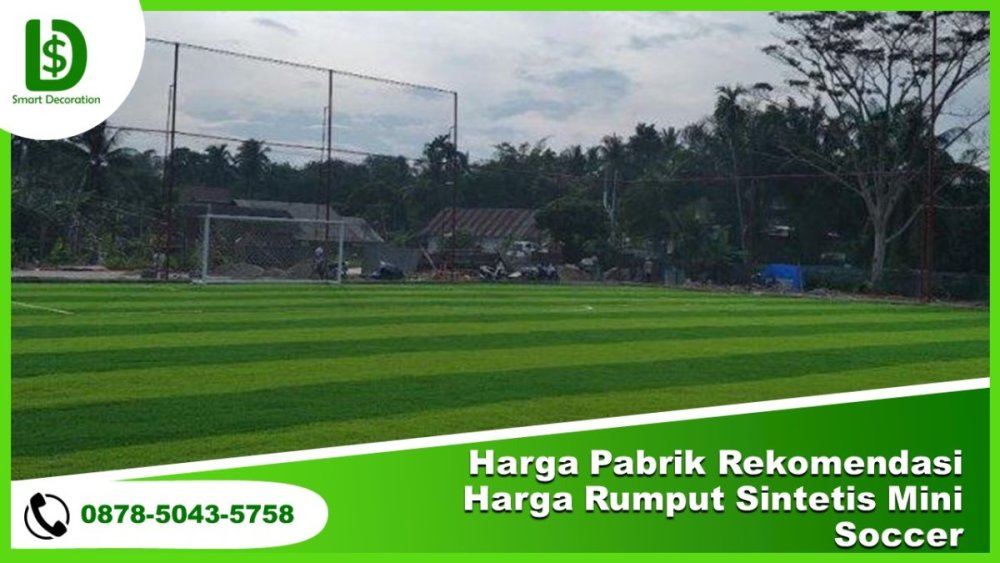 HARGA PABRIK, (0878.5043.5758) Rekomendasi Harga Rumput Sintetis Mini Soccer.jpg
