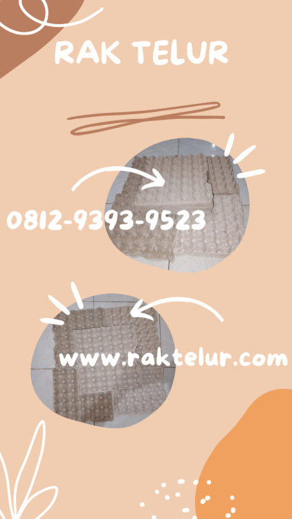 Beli Rak Telur Ayam.png